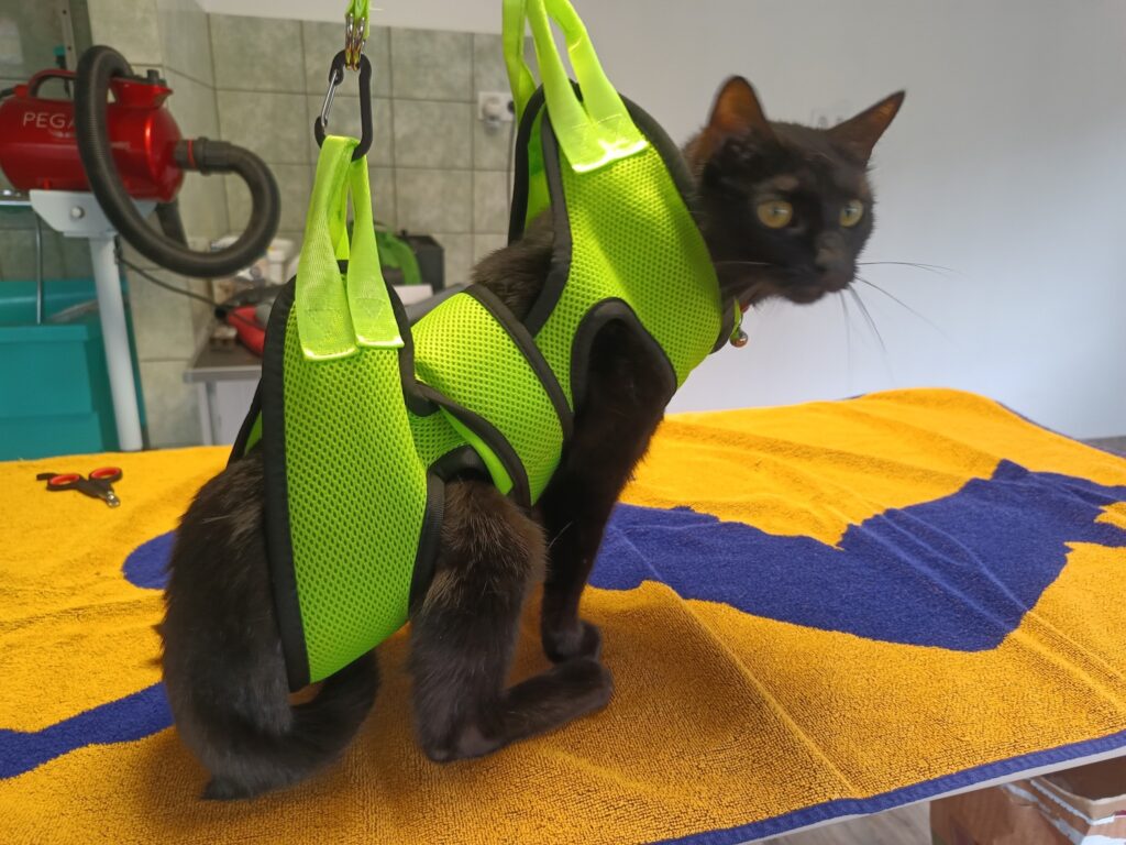 Topilla kutyakozmetika és macskakozmetika Pestszentimre