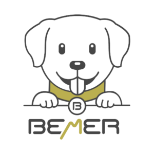 Bemer fizikai érterápia kutyáknak